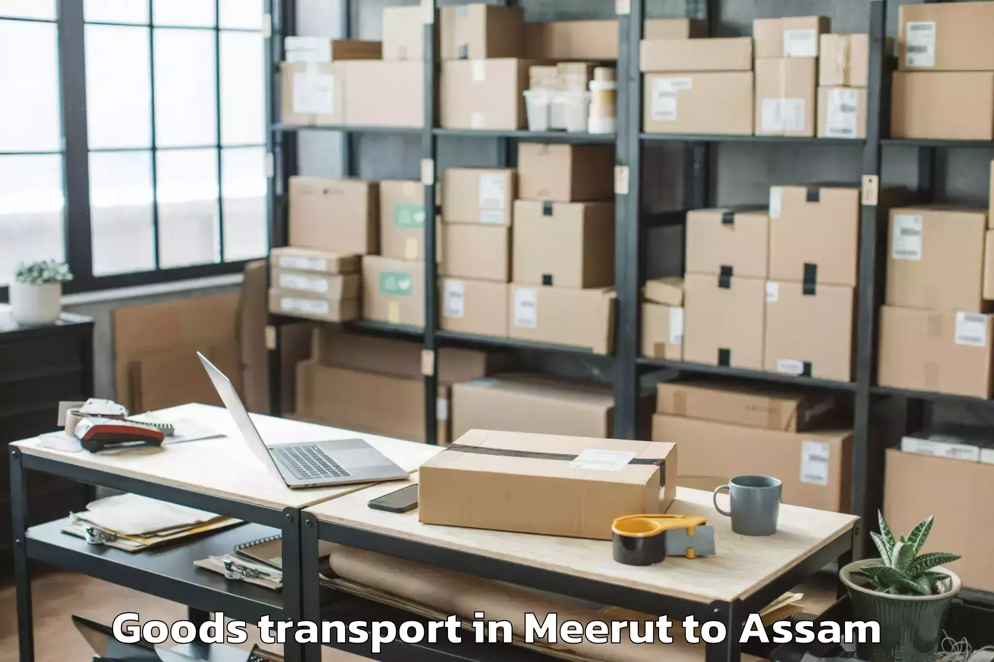 Hassle-Free Meerut to Gohpur Goods Transport